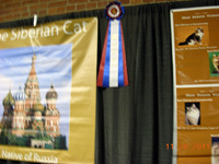 The CFA Intertional Cat Show